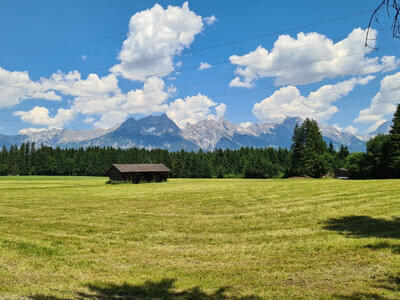 Gästebilder Sommer Bild 30