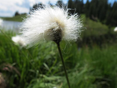 Gästebilder Sommer Bild 17