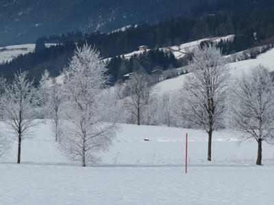 Gästebilder Winter Bild 2