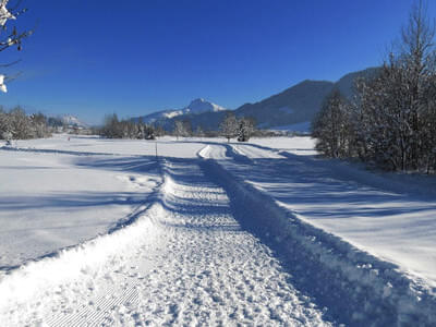 Gästebilder Winter Bild 14