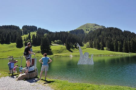 Scheffau-Schwarz-316-2.jpg