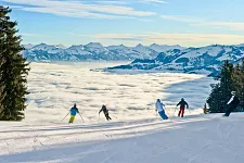 neu-Nebel.jpg