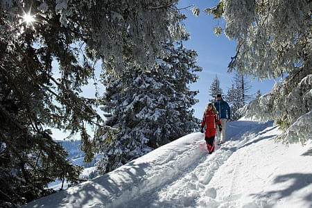 wk-310-Winterwanderung-im-verschneiten-Wald-Bernd-Ritschel.jpg