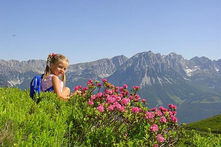 wkwk028almrosenblueteamhartkaisertvbwilderkaiser.jpg
